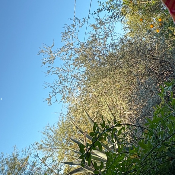 Spring-y Dress - Picture 6 of 9